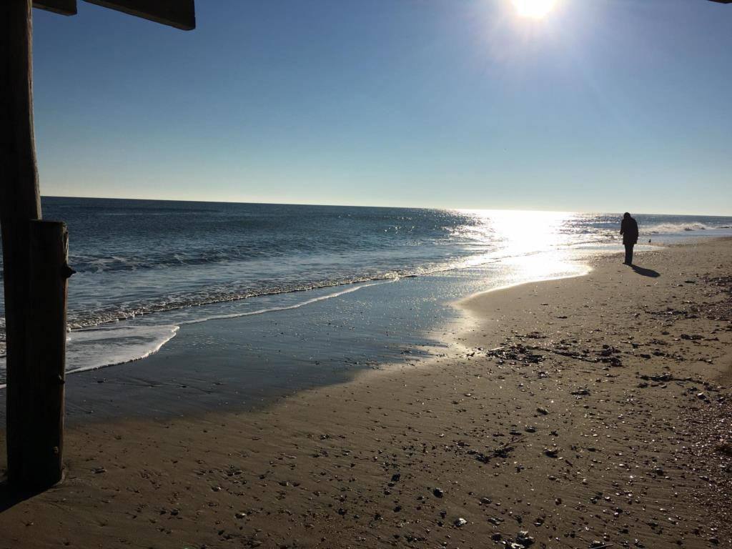 beach combing