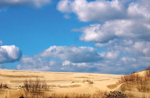 Jockey's Ridge on the OBX is home to America's largest living dune, spend your Valentine's date climbing the large sand dunes and having a picnic. 