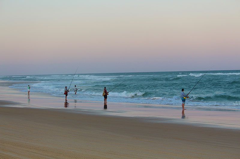 Outer Banks surf fishing is a favorite among visitors and locals alike. 