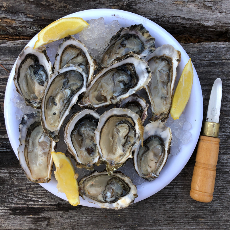 Fresh OBX oysters are popular seafood for the colder season. 