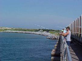 Pea Island National Wildlife Refuge