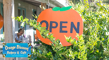 The Orange Blossom Bakery & Cafe The Orange Blossom Bakery & Cafe