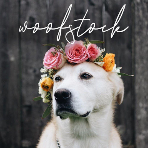 Woofstock Woofstock
