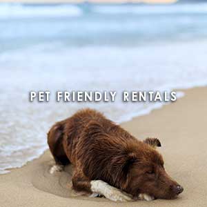 2023 Outer Banks Pet Friendly Rentals