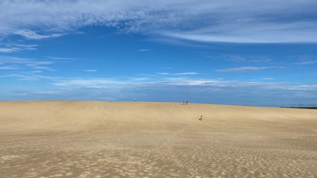 A climb up Jockey's Ridge is not only a free Outer Banks activity, it's also great exercise!