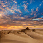 Jockey's Ridge State Park